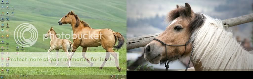 desktop.jpg