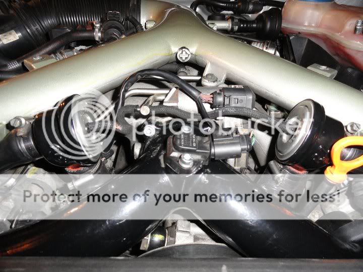 Catalytic oil leak??