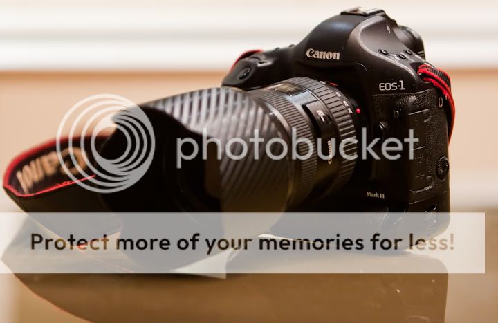 IMAGE: http://i880.photobucket.com/albums/ac2/l3onzo/IMG_6333.jpg