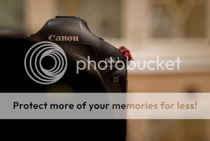 IMAGE: http://i880.photobucket.com/albums/ac2/l3onzo/IMG_6370.jpg