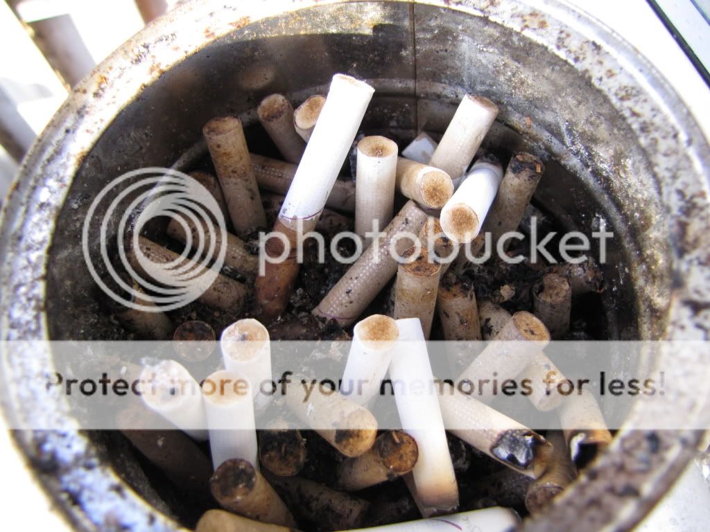 Posted Image