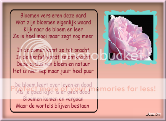Welkom bij blogtips