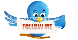 Follow us on twitter