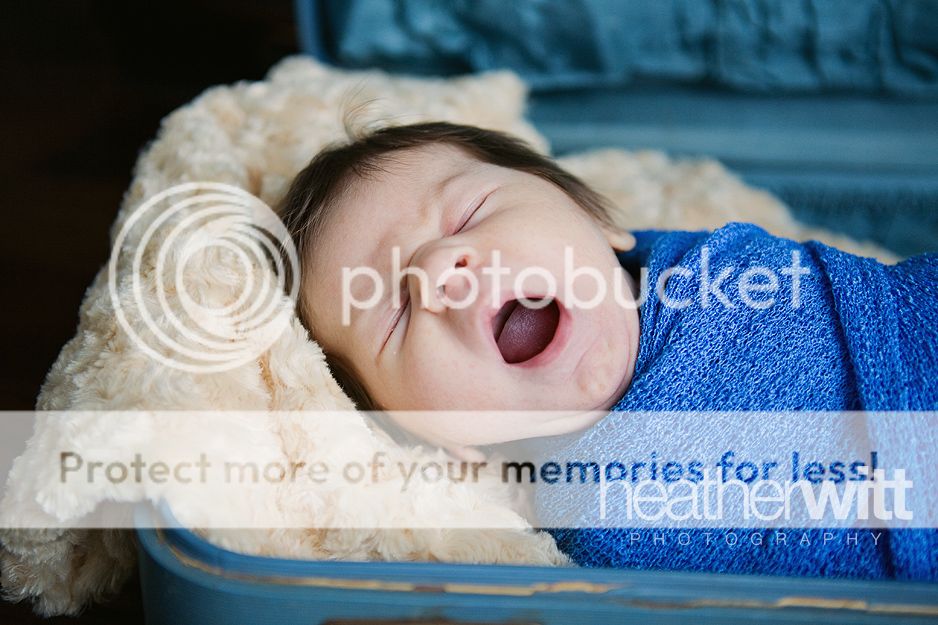 photo IMG_2036CopyWeb_zpsf18fc9bd.jpg