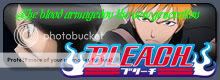 Bleach: The Blood Armageddon banner